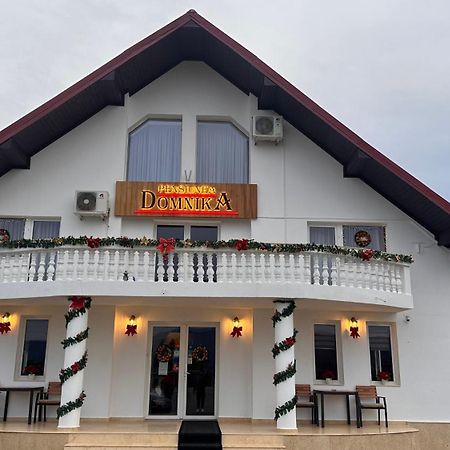 Pensiunea Domnika Dej Esterno foto