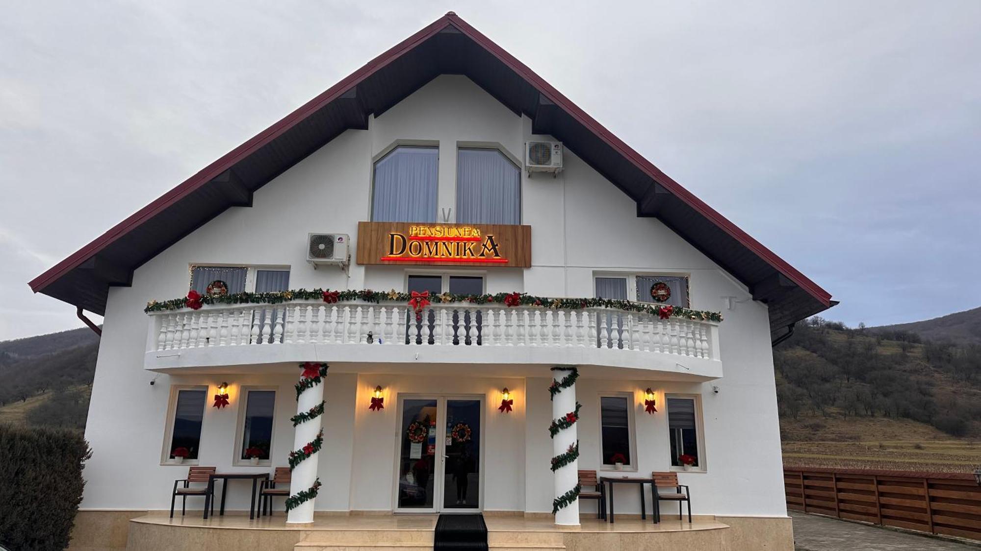 Pensiunea Domnika Dej Esterno foto