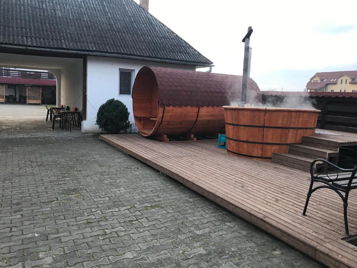 Pensiunea Domnika Dej Esterno foto